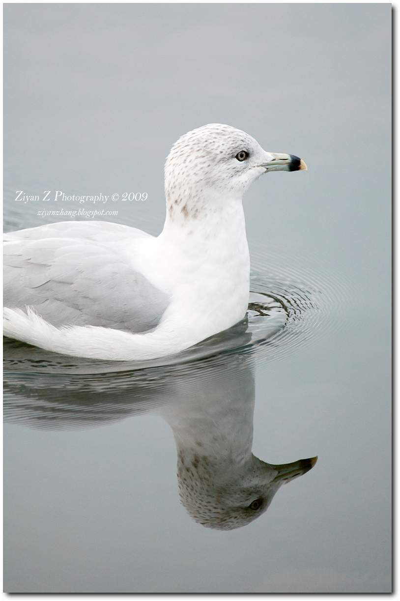 2009-11-08 (7 of 66).jpg