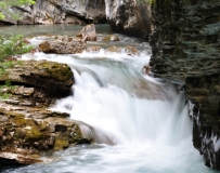 2010 Canadian Rockies (6) Johnston Cayon: ˮ޺