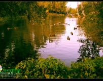 Laval Parc des prairies Ѽ