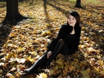 ɣ2009.11.08棨ͼࣩ