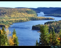 2010 ڷֵɫ1ɽ飬־Ⱦ