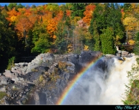 2010 ڷֵɫ7ʺ֮Լ