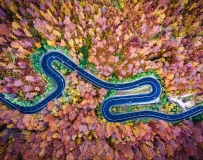 Dronestagram2016˻Ʒ